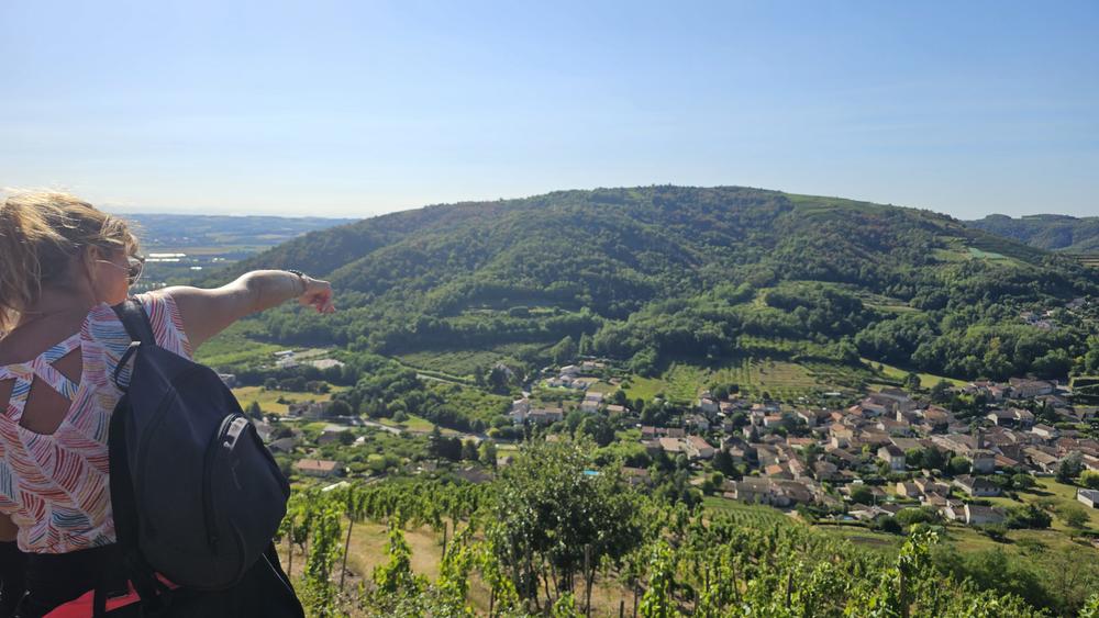 Village viticole de Saint-Désirat_Saint-Désirat