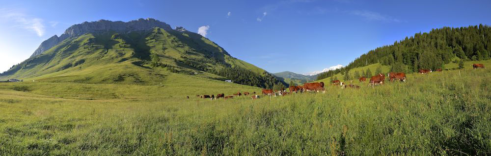 Col des Aravis