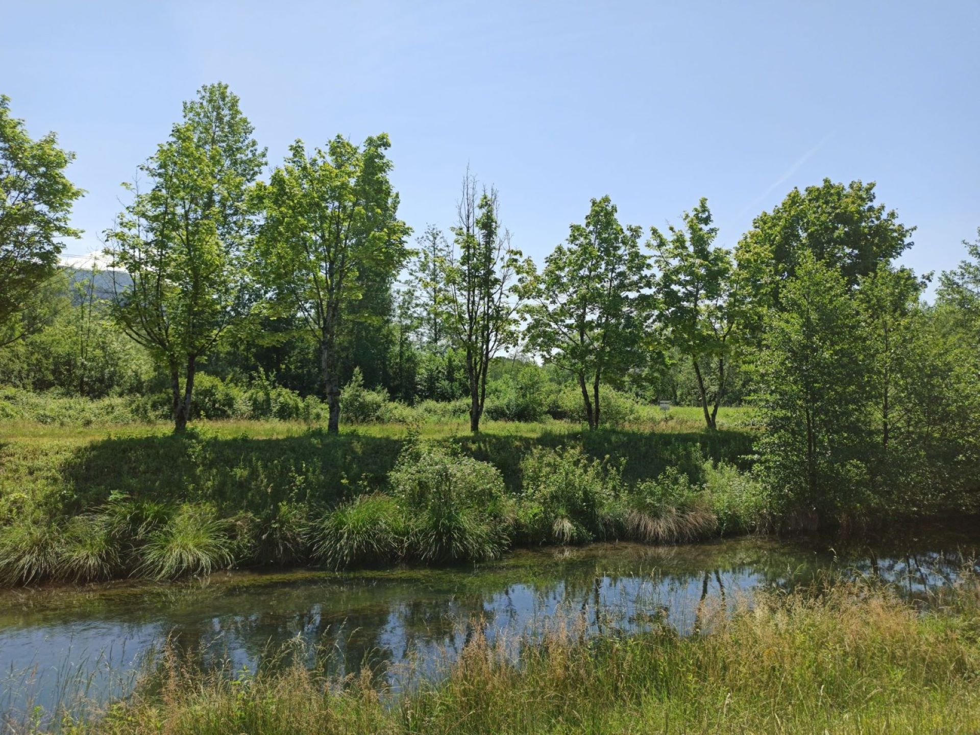 Nature Color Day !_Serrières-de-Briord