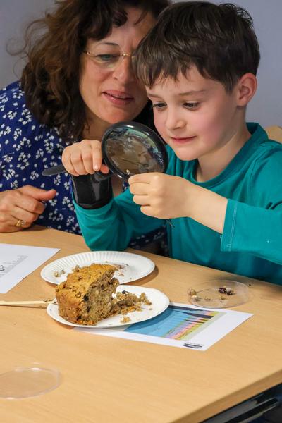 Matinée gourmande à Gergovie « À la recherche des recettes gauloises perdues »