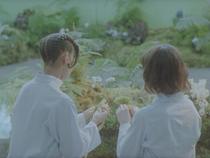 Exposition - I was in a garden. It felt like it belonged. somewhere else_Saint-Étienne