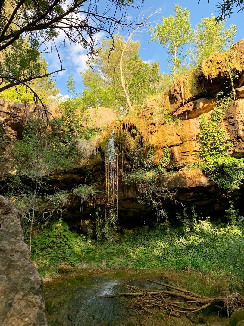 La Feuillère, Saint-Antonin-sur-Bayon - photo 8