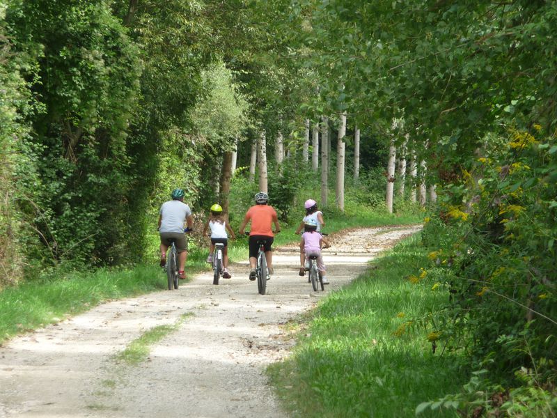VTT