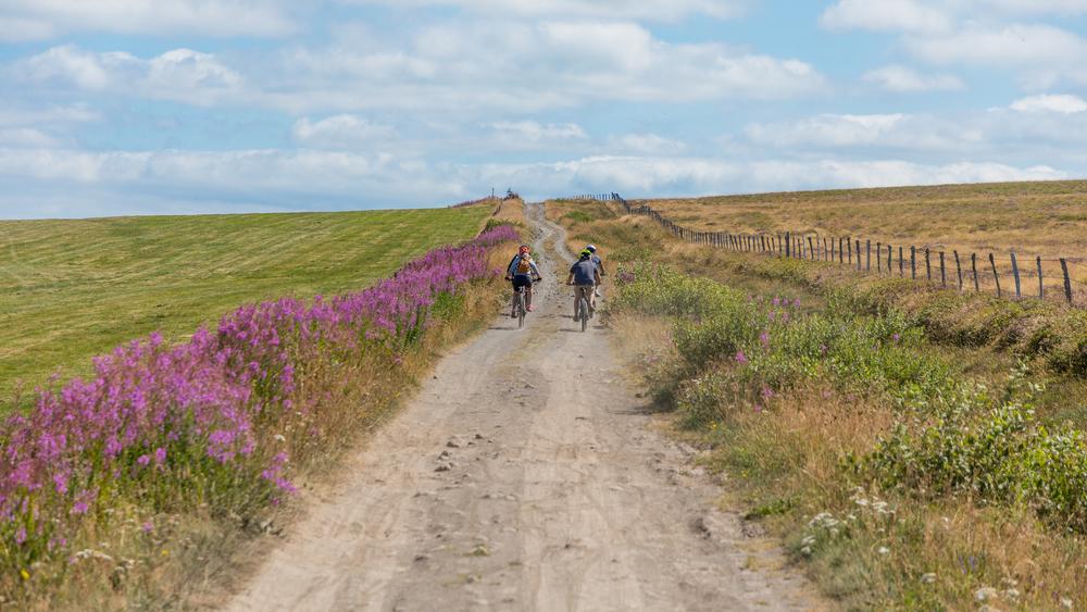 Circuit VTT itinérant en 4 jours - Pays d'Issoire côté Cézallier
