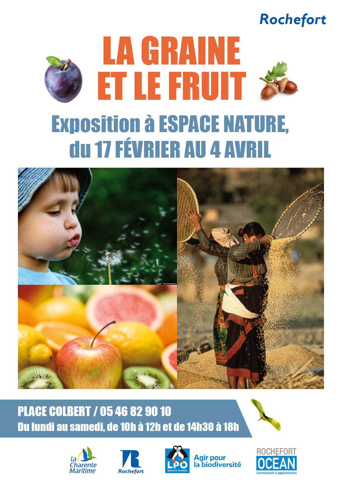 Exposition : La graine et le fruit