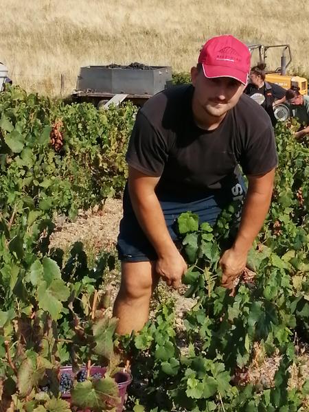 Domaine des Treilles