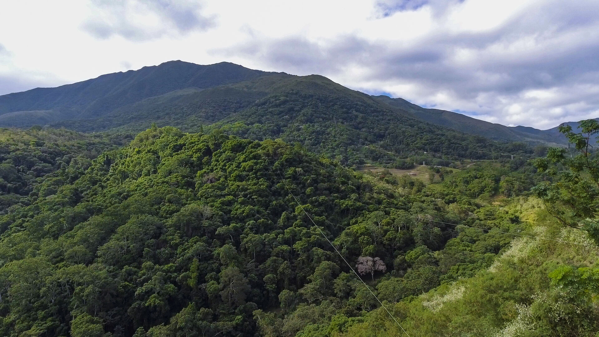 ミュージック fourleaves praivatetour in new caledonia La Belle Verte Canopy Tours (Païta) | New Caledonia Tourism