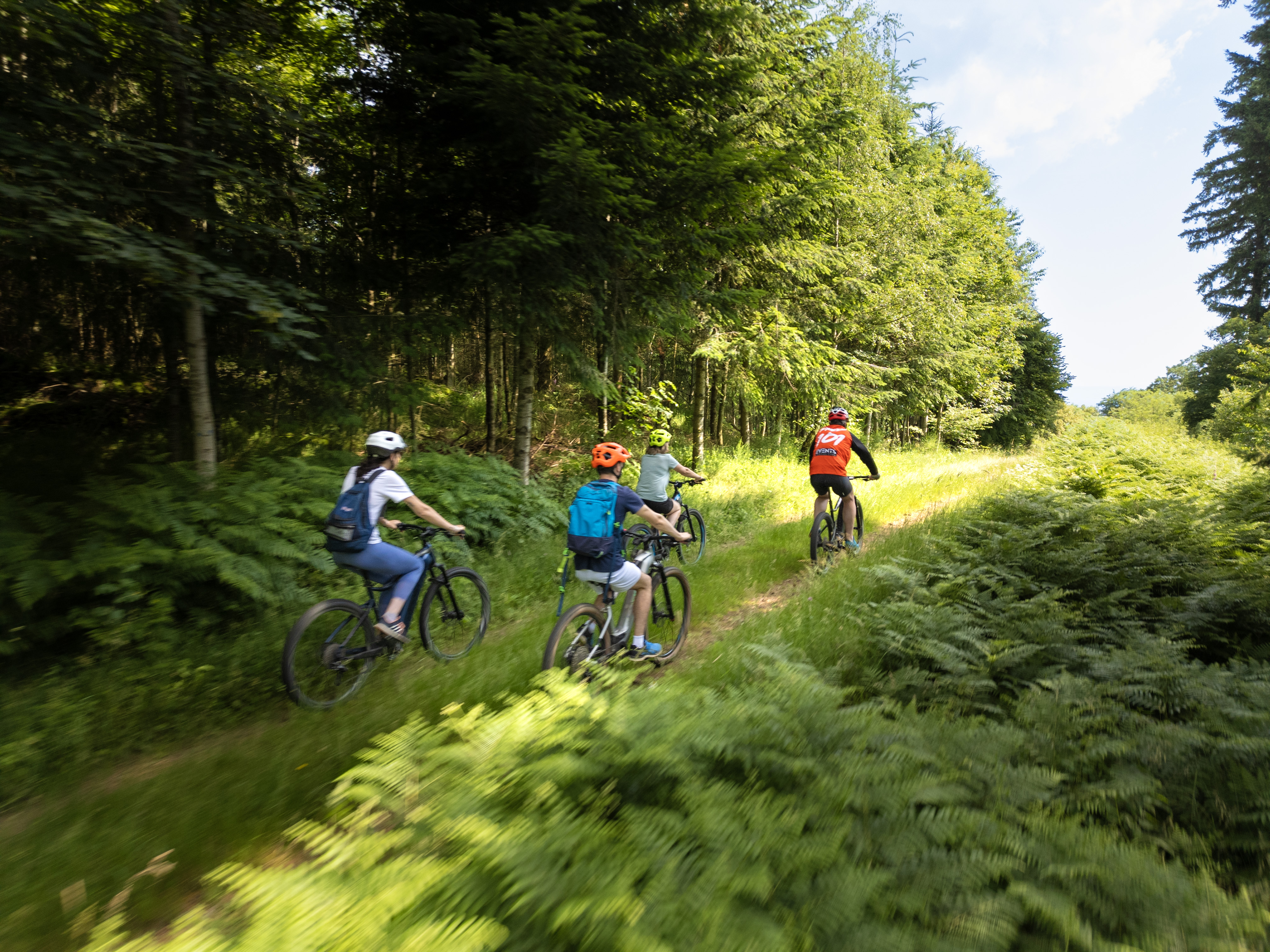 Balade VTT au cœur d'une forêt Roannaise