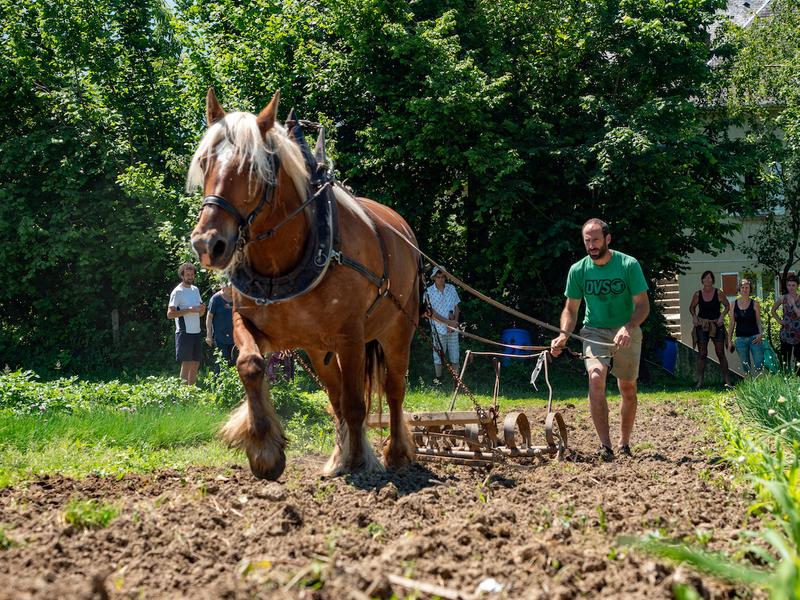 Le Château partagé_Dullin