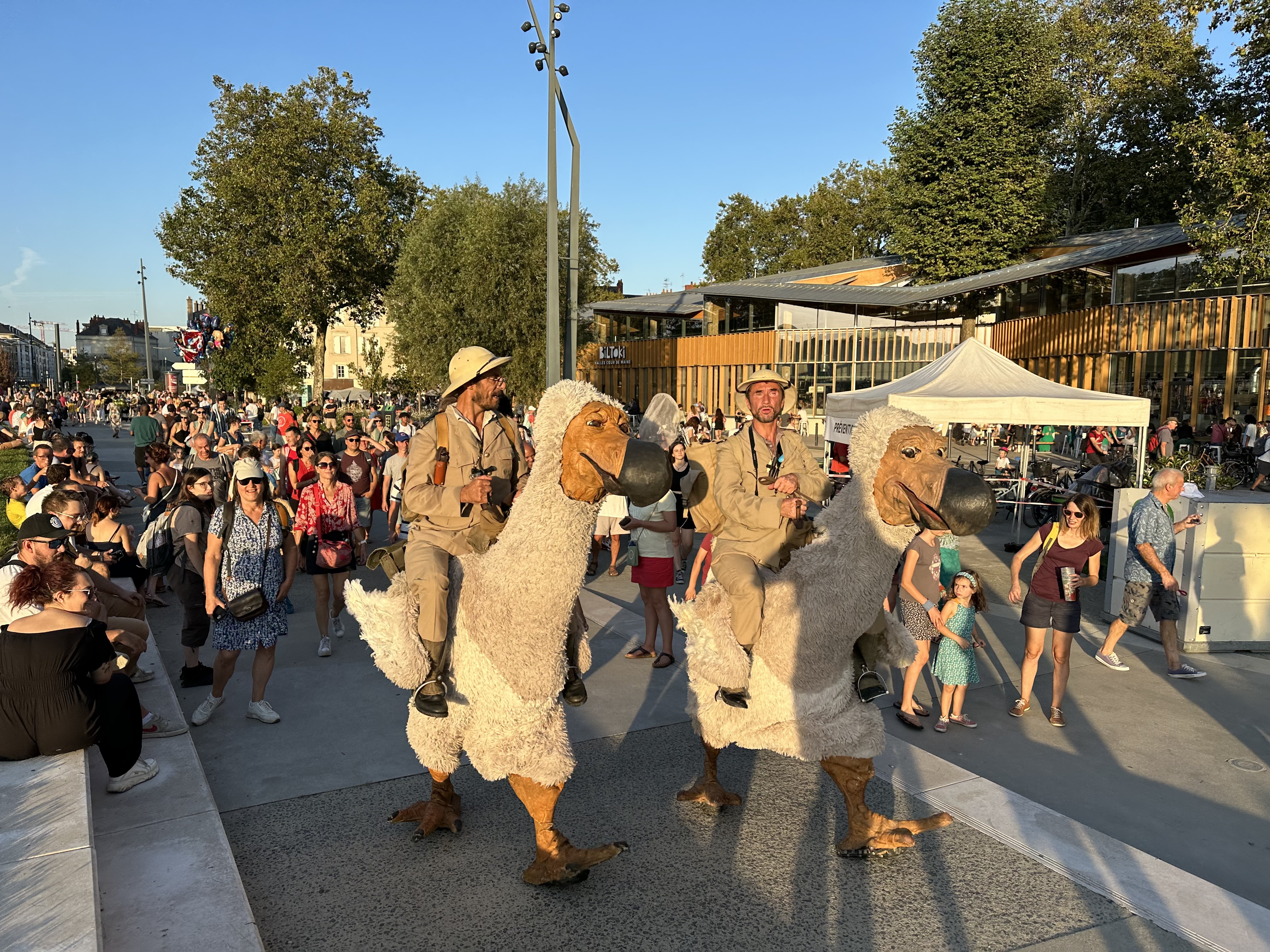 LES DODOS 1