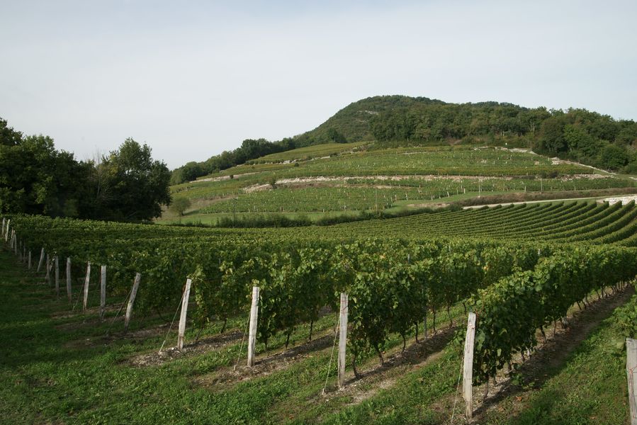 Maison Angelot à Marignieu