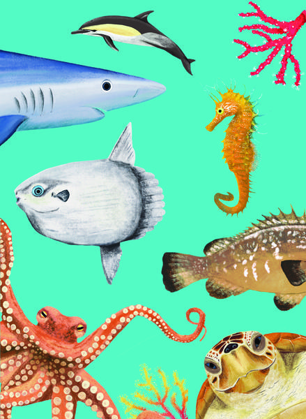 Exposition 'Portrait d'animaux'_Chabottes