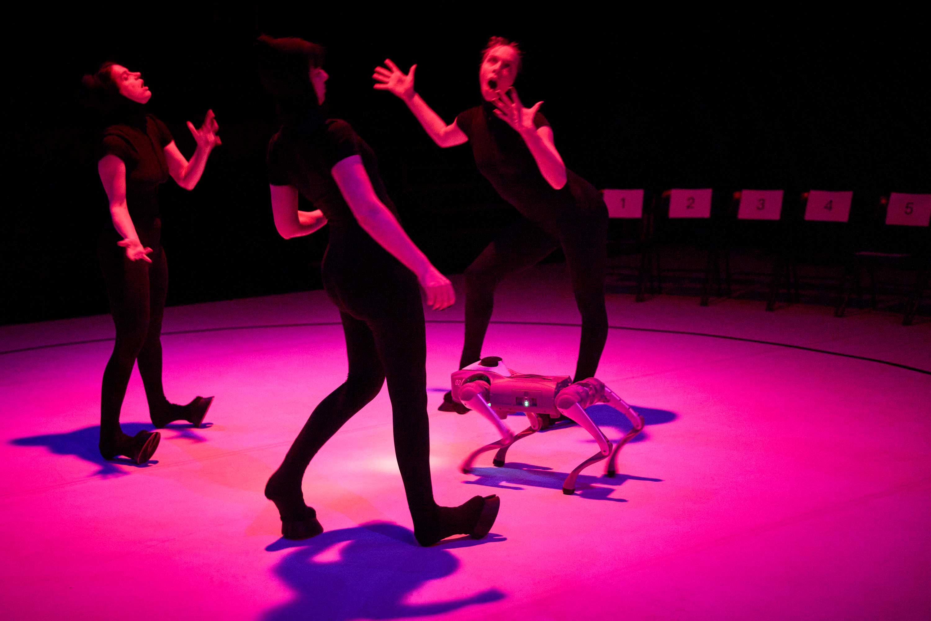 Danse - Christine Armanger - de dIAboli / Liz Santoro & Pierre Godard - This Is Unreal