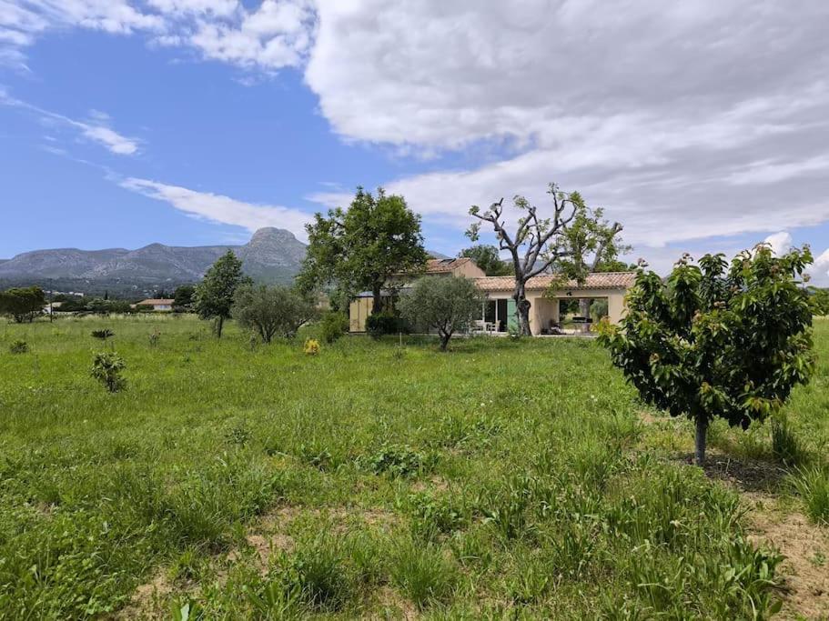 Maison de campagne, Aubagne - photo 6