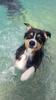 Passion Dog 04_Castellane