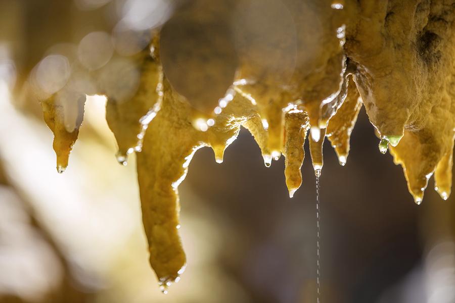 Excursion : Du vignoble de Cerdon à la Vallée de l'Ain_Cerdon