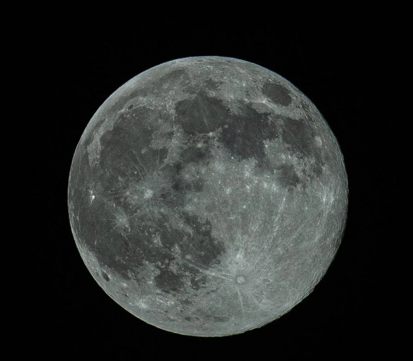 La tête dans les étoiles à la rencontre des animaux célestes