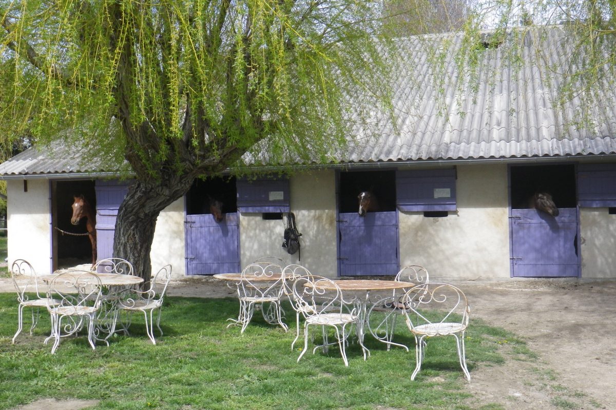 Centre Equestre Avignon