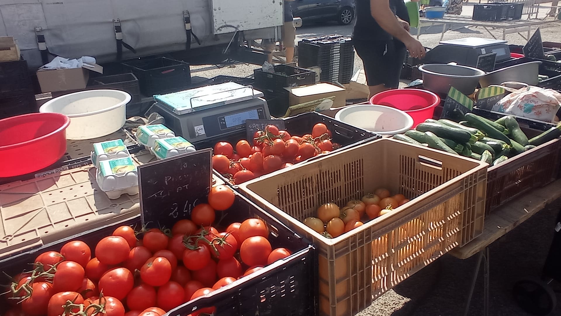 Fruits et légumes Zavattoni