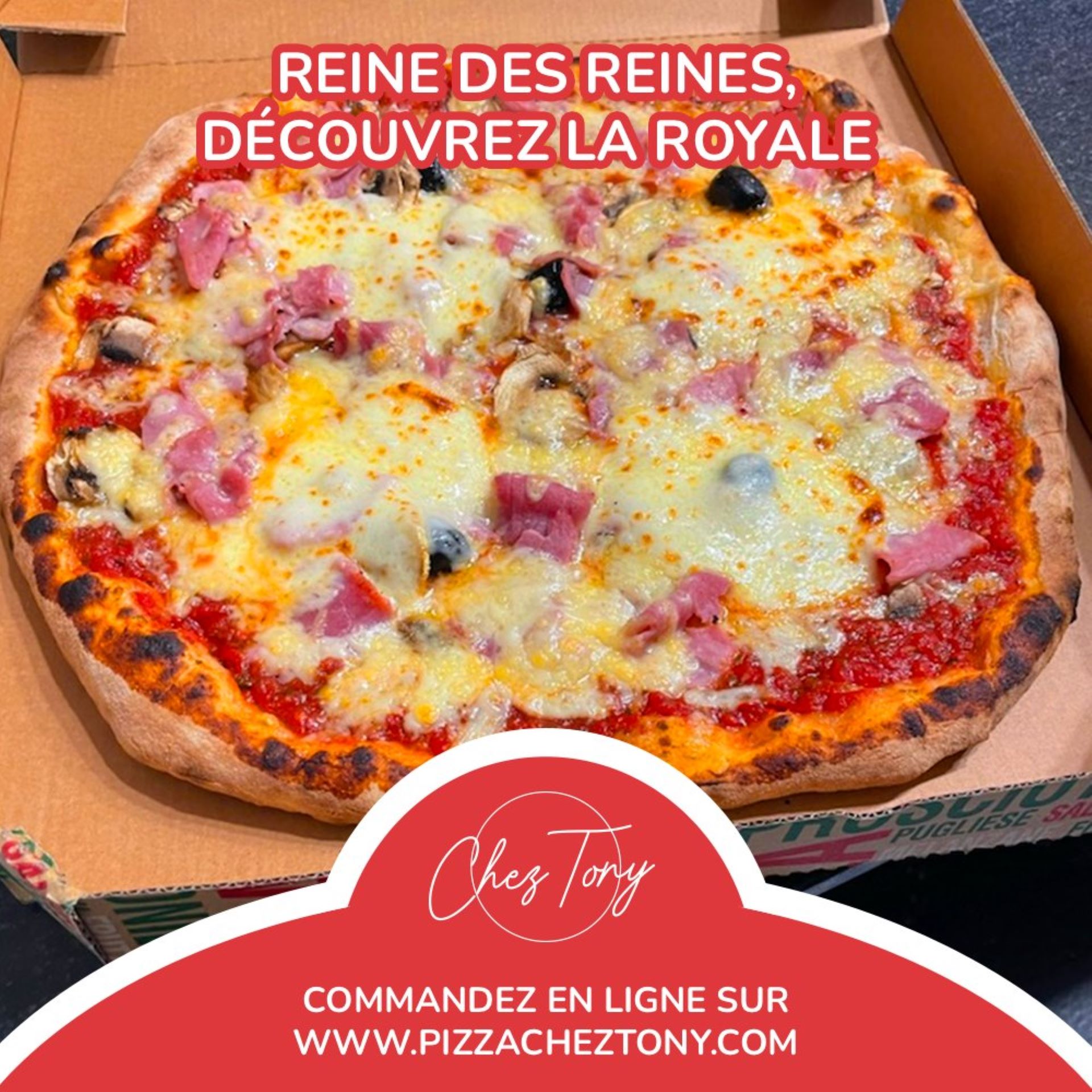 Pizzeria chez Tony  France Provence-Alpes-Côte d'Azur Bouches-du-Rhône Tarascon 13150