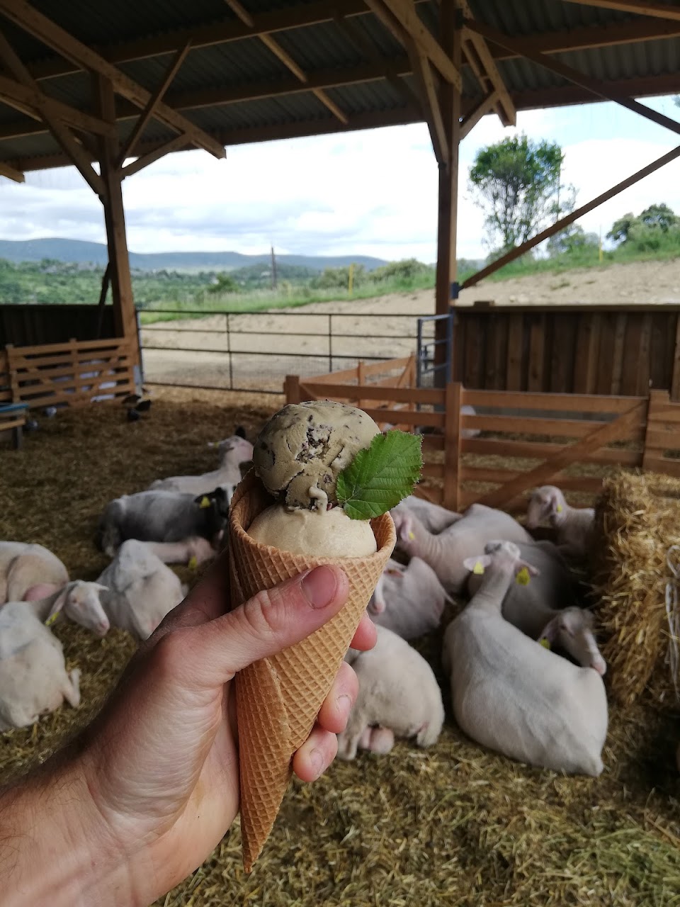 Ferme de la Pampa