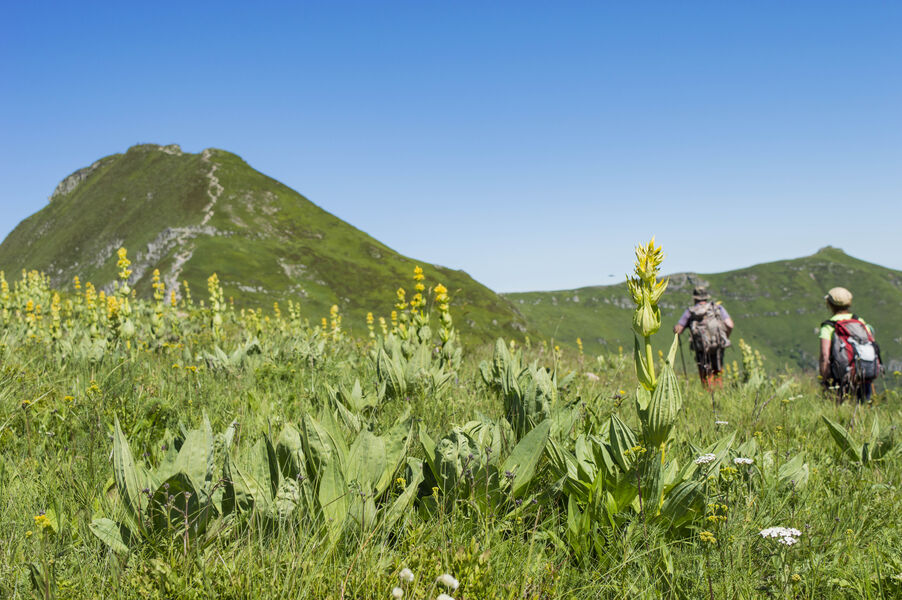 Cyclo. Des plateaux du Cézallier au pays d’Alagnon – parcours 1