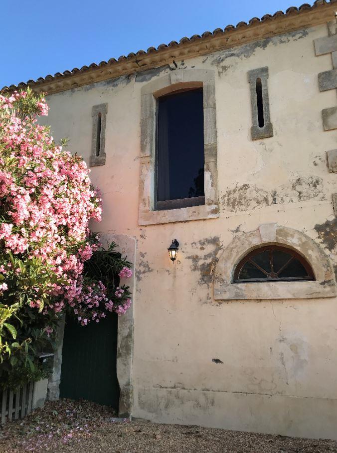 Les Platanes, Saintes-Maries-de-la-Mer - photo 8