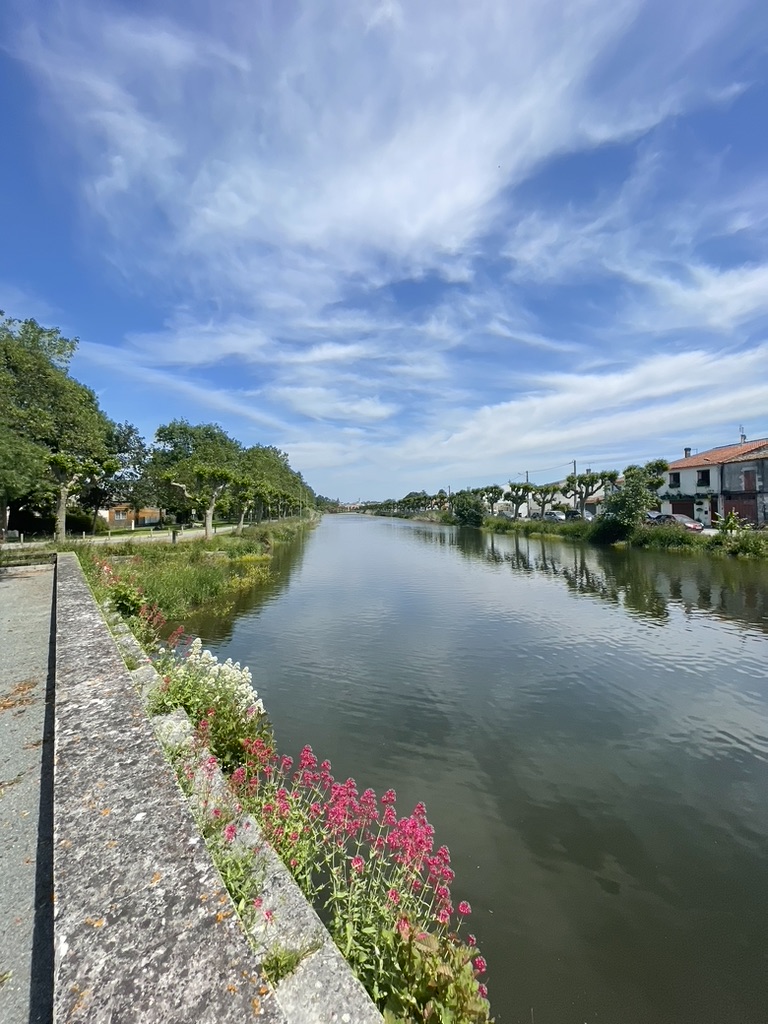 Visite de Saujon, au rythme de la Seudre