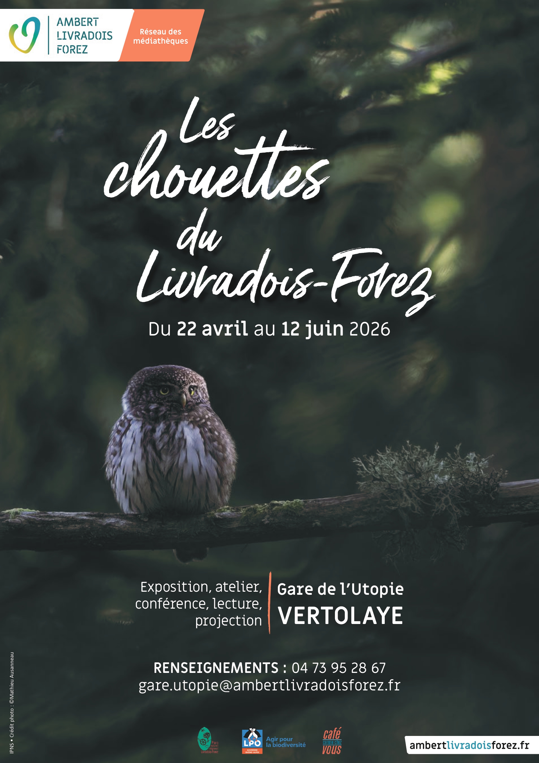 Les chouettes du Livradois-Forez // Vertolaye