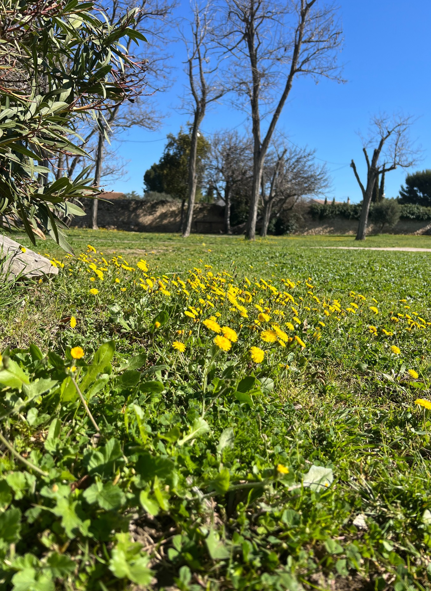Parc du Moulin Peyre, Mouriès - photo 2