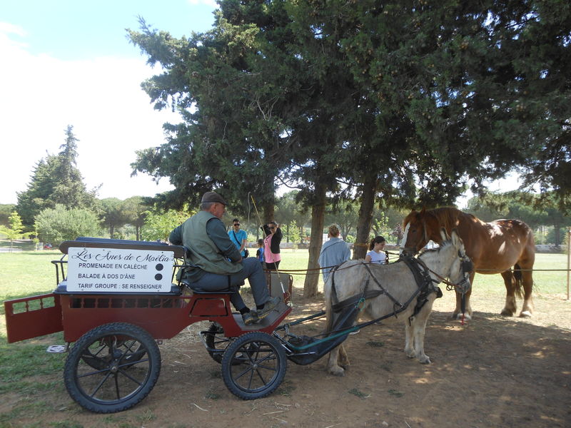 Nature en fête à La Londe les Maures