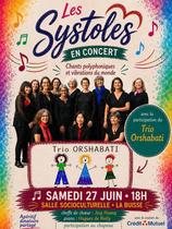 Concert :  Le Trio Orshabati & Les Systoles