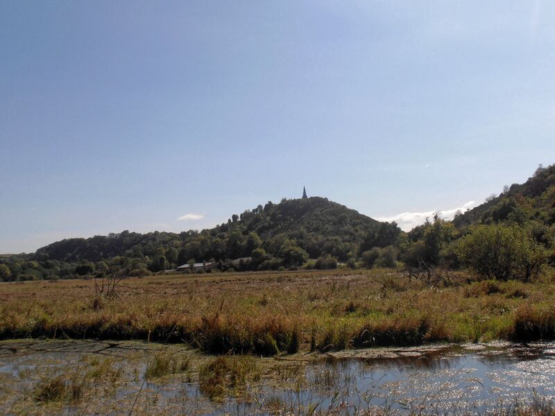 Du marais à la coulée de lave