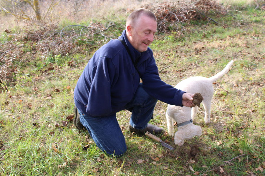 De la truffière à l'assiette en compagnie d'un Chef