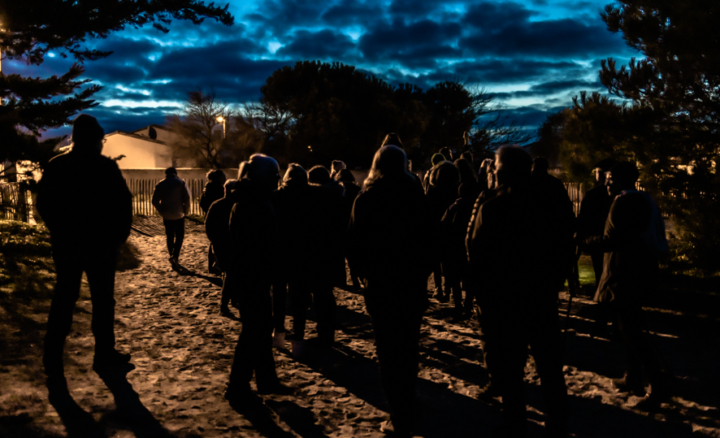 Sortie nature avec un écogarde - le monde de la nuit
