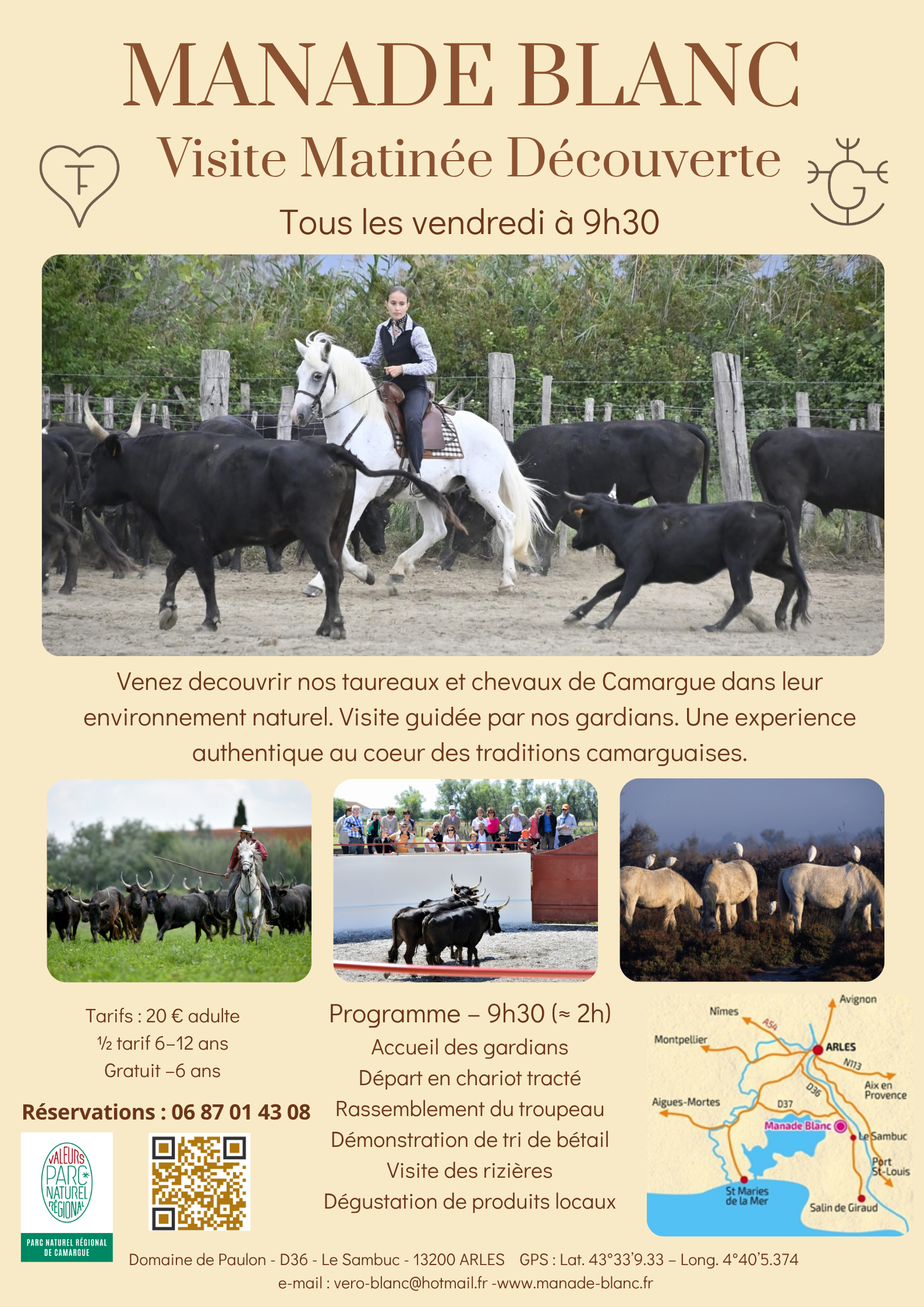 Découverte de la manade Blanc avec tri de bétail