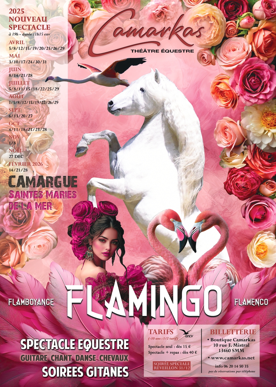 Spectacle “Flamingo” au Théâtre Equestre Camarkas