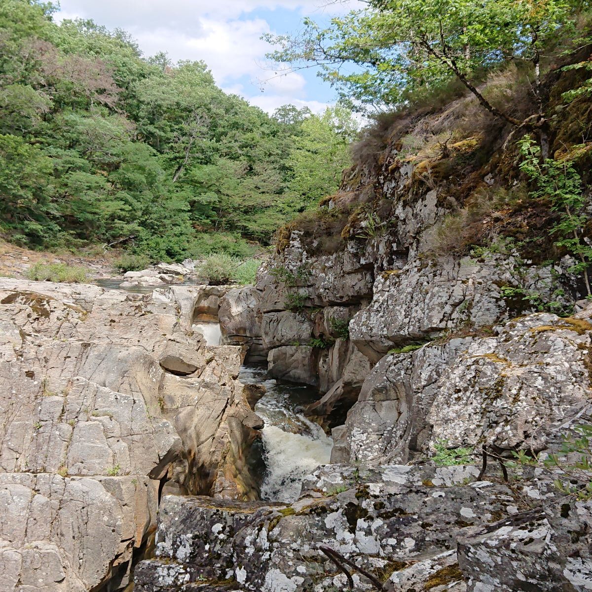 Le Saut de la Saule