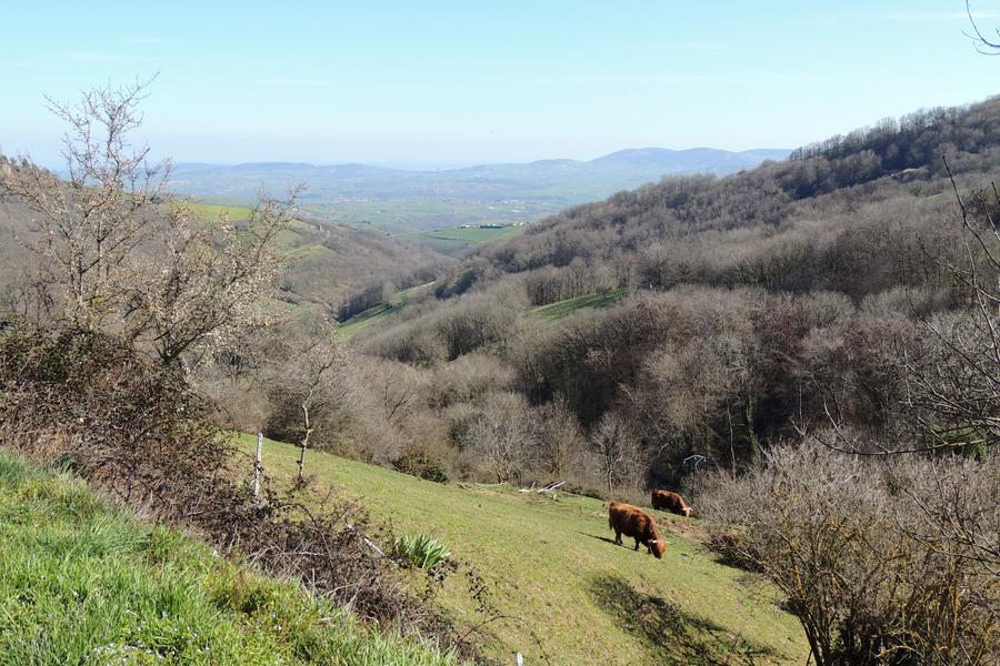 Paysage Paysage