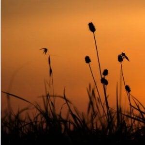 La nuit, tous les sens sont éveillés_Ceyzérieu