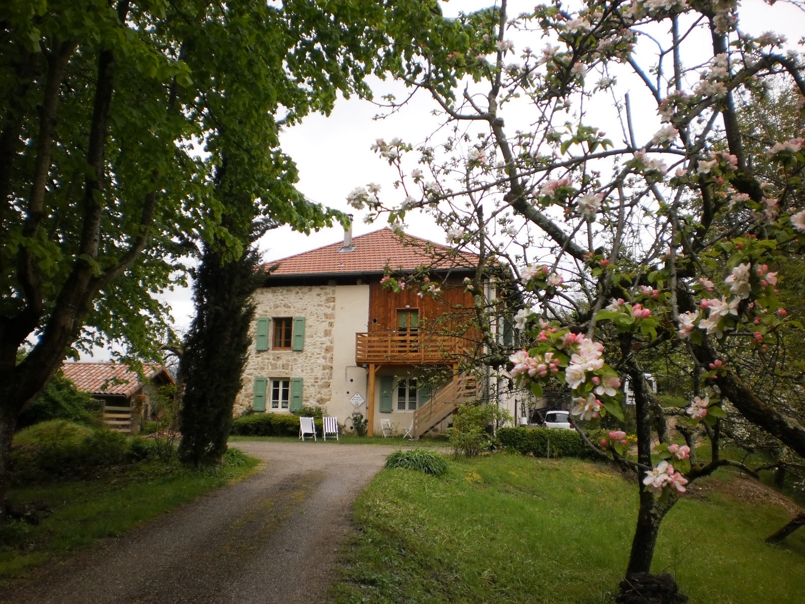 Vue du chemin boisé avec le gîte à l'étage.