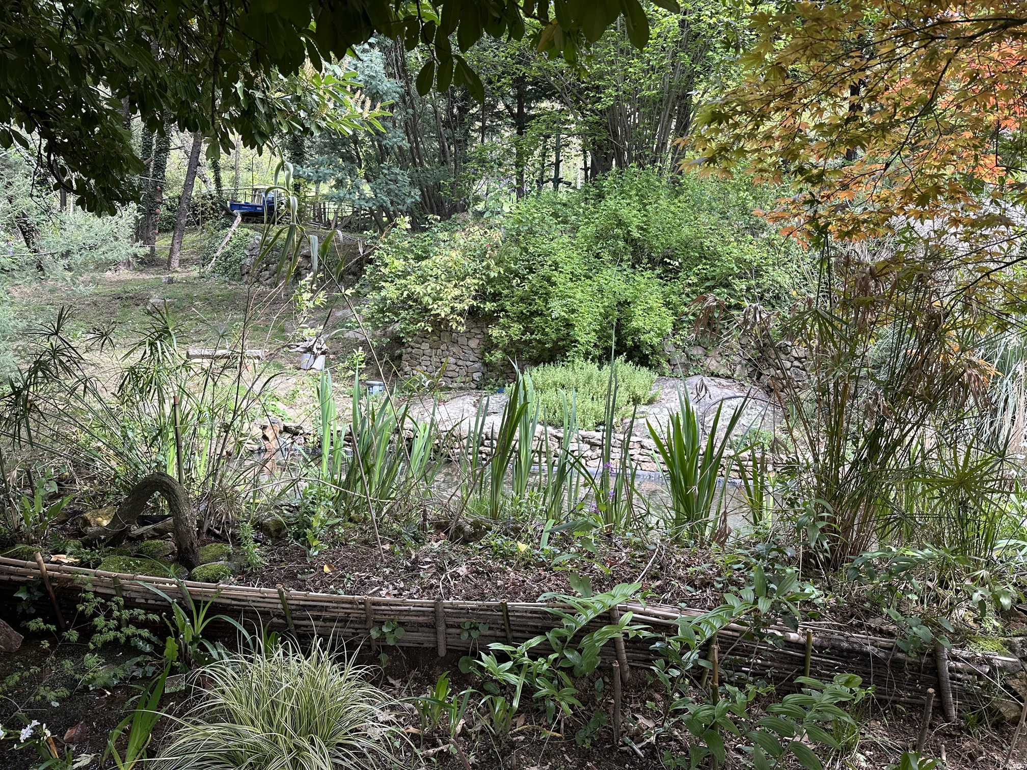 Le Jardin du Mas de T'aî