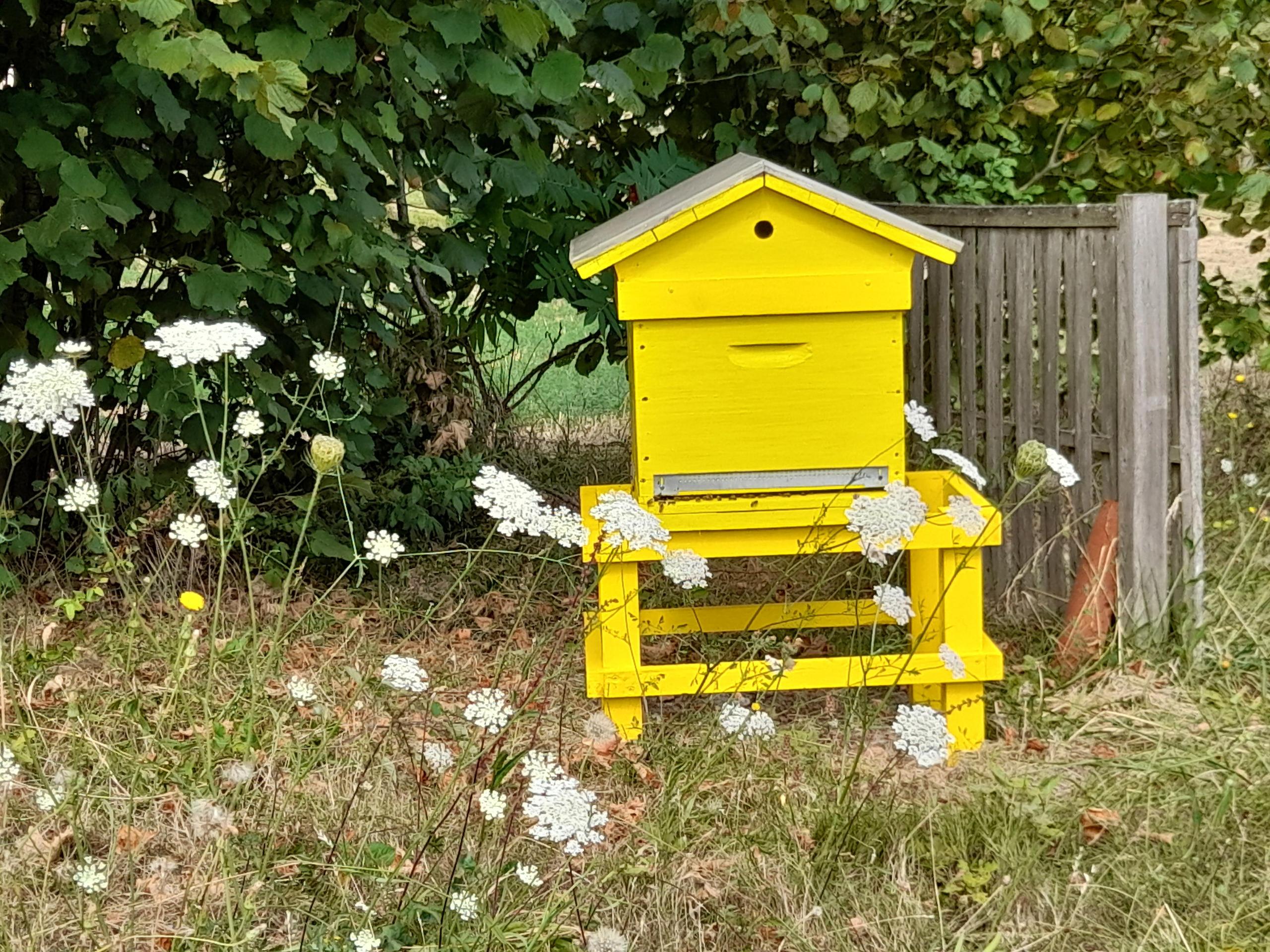Bernard Gendron - Apiculteur