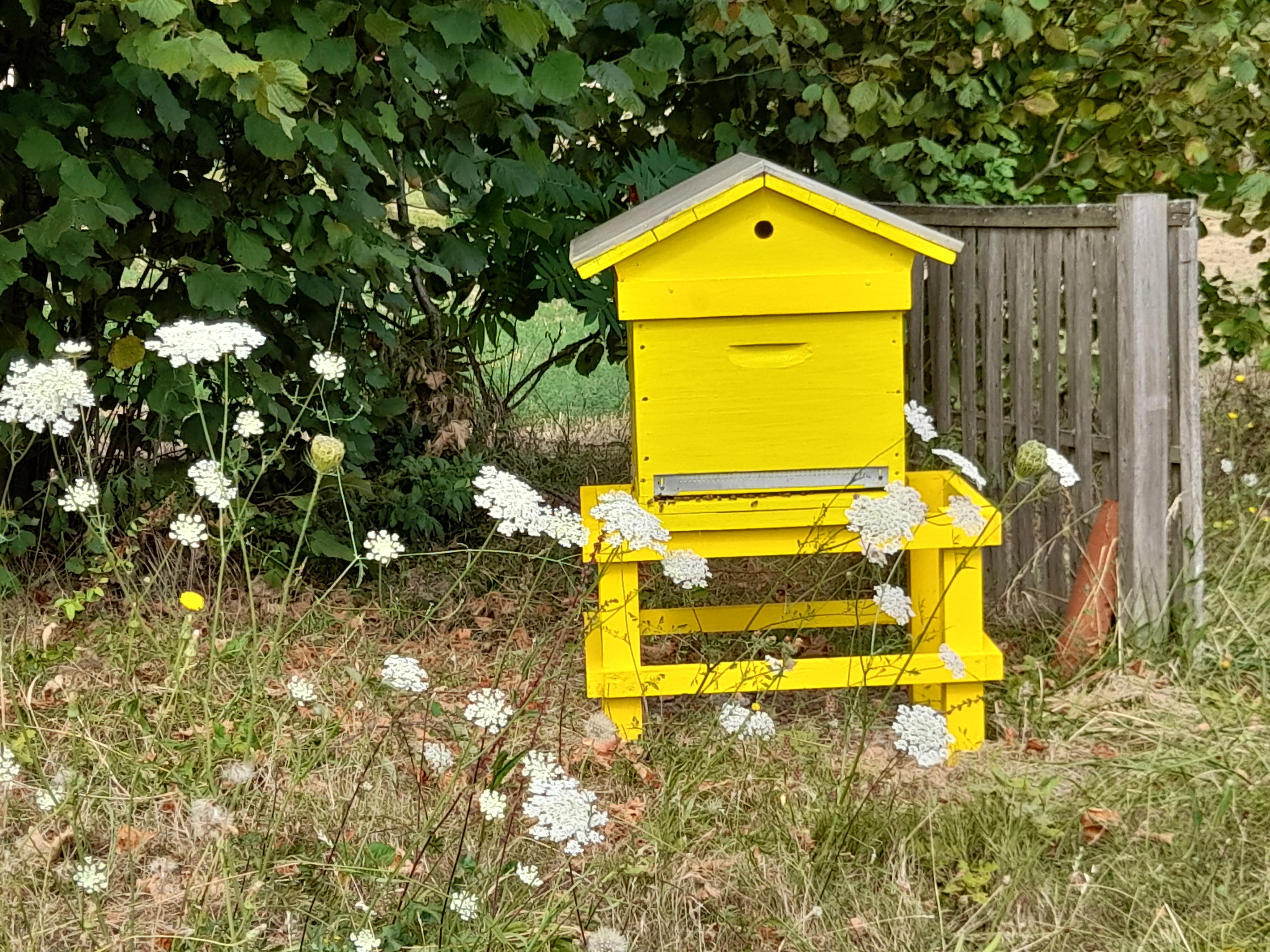 Bernard Gendron - Apiculteur