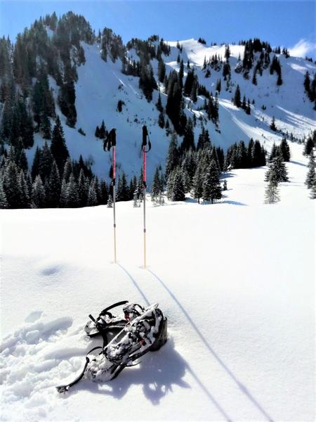 Balades en raquettes à la Chèvrerie_Bellevaux