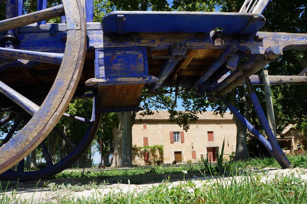 Le Mas du Juge, Maillane - photo 3