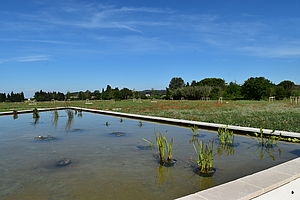 Parc du Vallat, Lambesc - photo 3