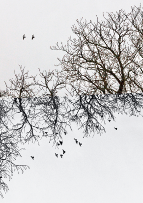 Exposition - Agathe Ferrandez -Alentours