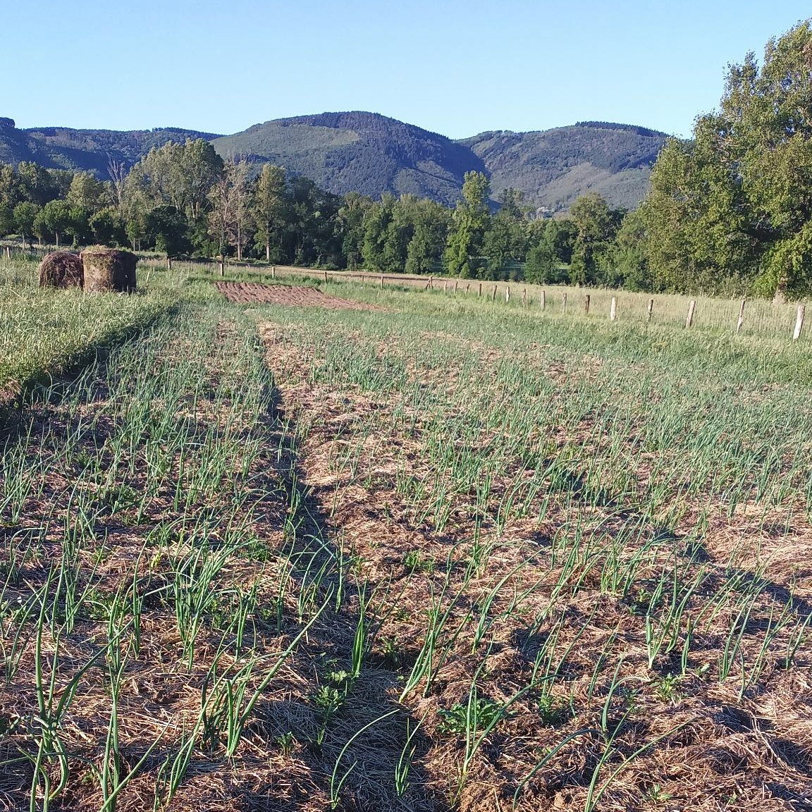 487787288_671012429203986_8466575554992715312_n