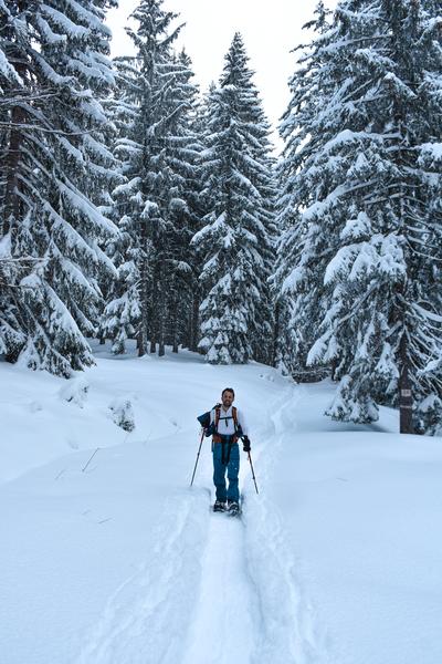 L'envers du mont chery